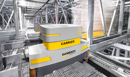 Mother Child Shuttle System DAMBACH Lagersysteme